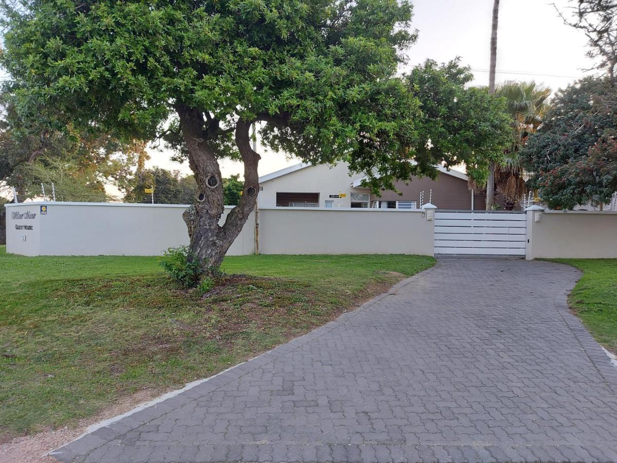 Walmer Manor Port Elizabeth Bagian luar foto