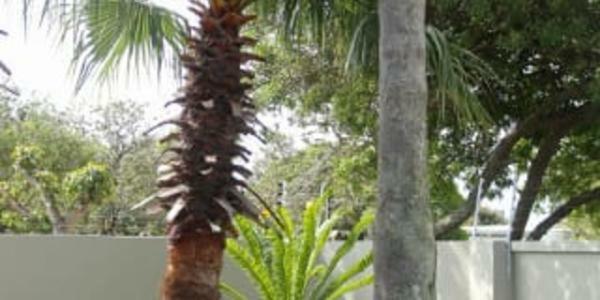 Walmer Manor Port Elizabeth Bagian luar foto